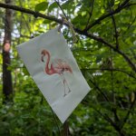 phoca_thumb_m_poklad zajci 7 Fotogalerie